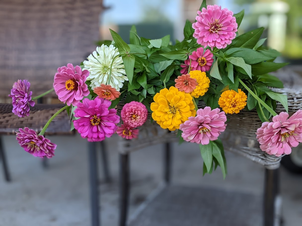 Florista Flower Farmers Market