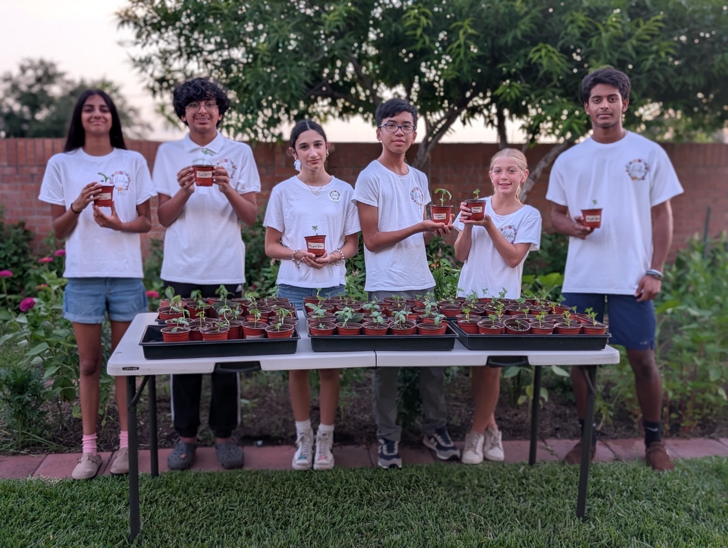 Summer Internship Urban Flower Farm