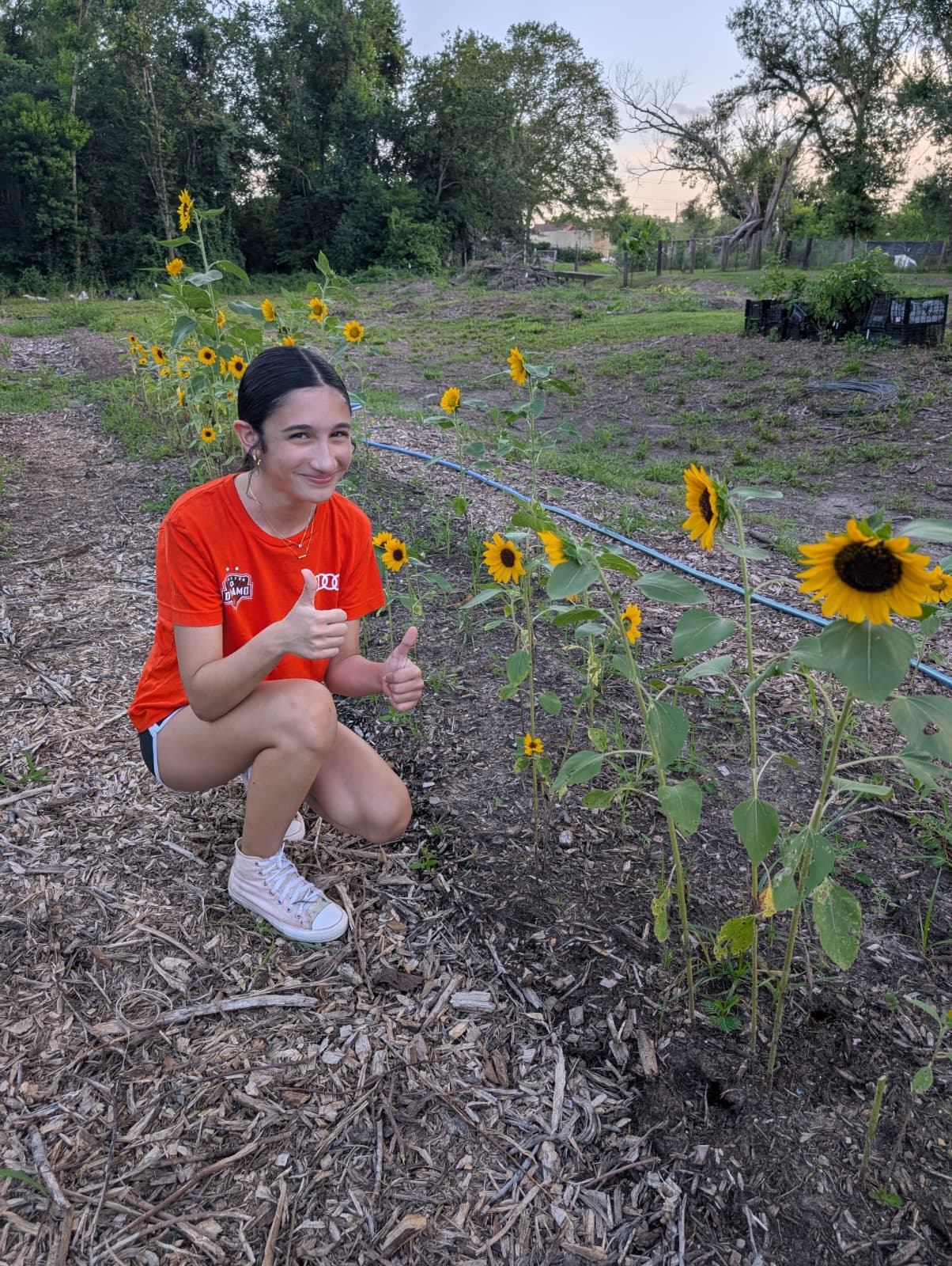 From Store-Bought to Farm-Fresh: My Flower Story